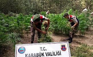 Karabük'te uyuşturucu operasyonları
