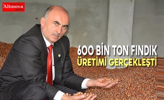 600 BİN TON FINDIK ÜRETİMİ GERÇEKLEŞTİ