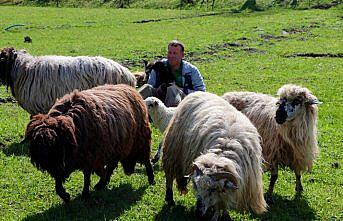 Huzuru Köyde Bulanlar - Muhasebeciliği bıraktı köyünde hayvancılık yapıyor
