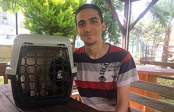 Fuel-oil dolu kuyudan kedisini kurtaran genç AFAD gönüllüsü oldu
