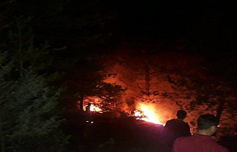 Tosya'daki orman yangınında 2 dekar alan zarar gördü