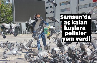 Samsun'da aç kalan kuşlara polisler yem verdi