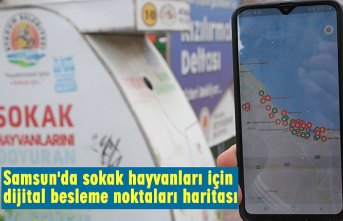 Samsun'da sokak hayvanları için dijital besleme noktaları haritası