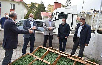 Bayburt'ta çiftçilere ücretsiz 40 bin sebze fidesi dağıtılacak