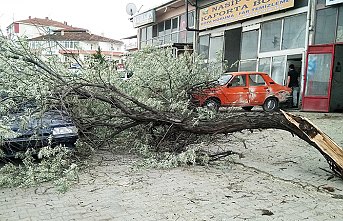 Samsun'da şiddetli rüzgar
