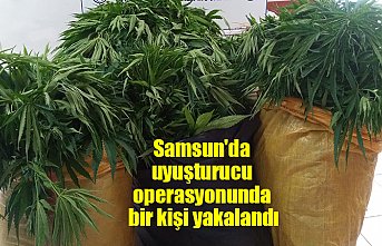 Samsun'da uyuşturucu operasyonunda bir kişi yakalandı