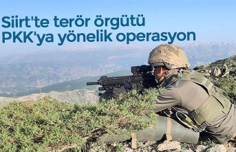 Siirt'te terör örgütü PKK'ya yönelik operasyon