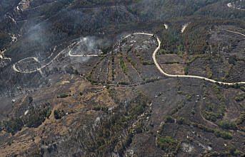 Kastamonu'daki orman yangını kontrol altına alındı