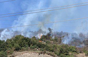 Zonguldak'ta çalılık yangını kontrol altına alındı