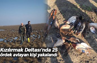 Kızılırmak Deltası'nda 25 ördek avlayan kişi yakalandı