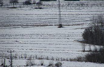Kar yağışı Kavaklı çiftçileri sevindirdi
