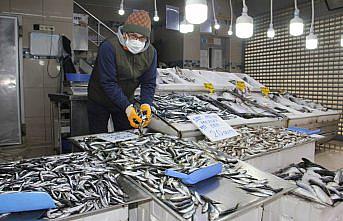 Kısmi av yasağı nedeniyle azalan hamsi diğer balık türlerinin fiyatlarını da yükseltti