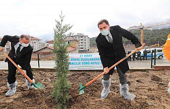 Amasya'da Orman Haftası nedeniyle fidanlar toprakla buluştu
