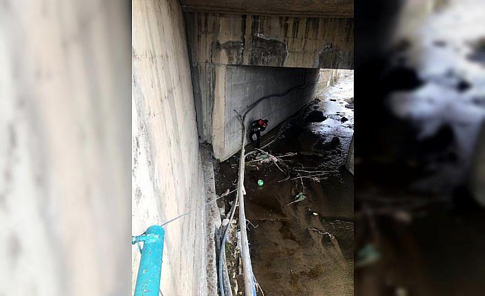 Karabük'te köprüden dereye düşen köpek yavrularını itfaiye ekipleri kurtardı