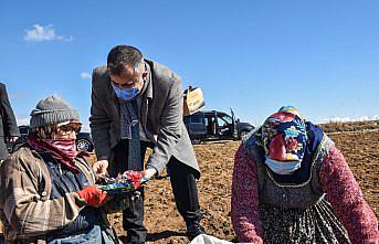 Taşköprü Belediye Başkanı Çatal, tarlada çalışan kadınlara pasta ikram etti