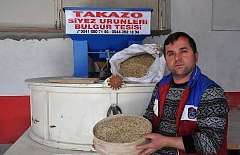 Anadolu'da 10 bin yıllık siyez buğdayının tohumu 