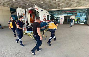 Düzce'de arıların saldırısına uğrayan kişi hastaneye kaldırıldı