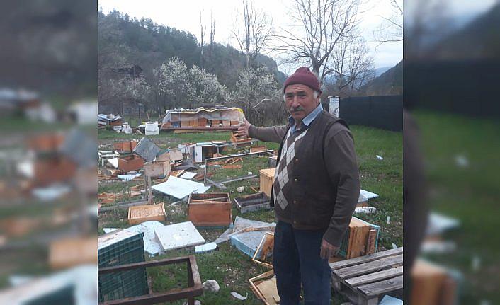 Karabük'te ayılar arı kovanlarını parçaladı