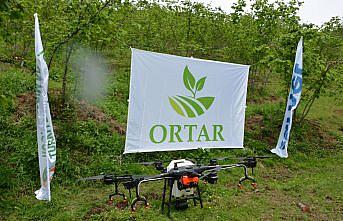 Ordu'da fındık bahçeleri zirai insansız hava aracı ile ilaçlanmaya başlandı