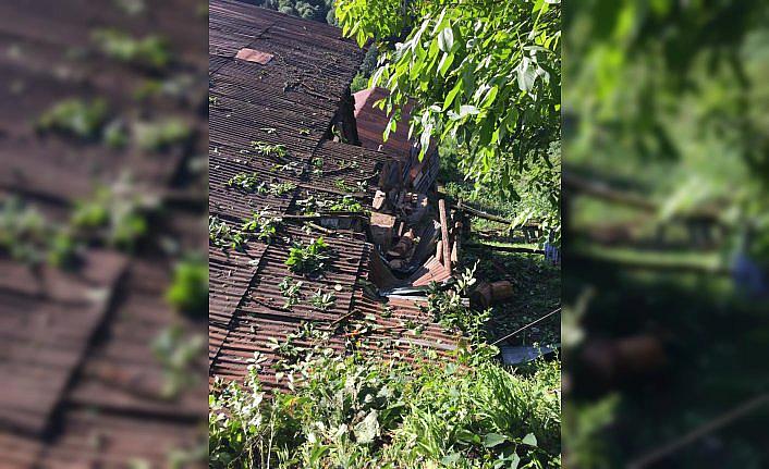 Rize'de üzerine ağaç devrilen evde hasar oluştu