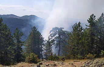 Bolu'da çıkan orman yangınında 1 hektarlık alan zarar gördü