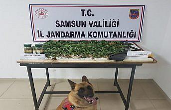 Samsun'da uyuşturucu operasyonlarında 15 şüpheli yakalandı