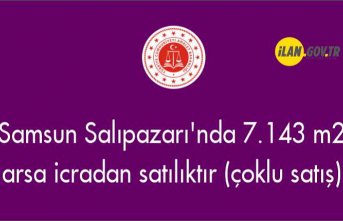 Samsun Salıpazarı'nda 7.143 m² arsa icradan satılıktır (çoklu satış)
