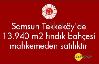 Samsun Tekkeköy'de 13.940 m2 fındık bahçesi mahkemeden satılıktır