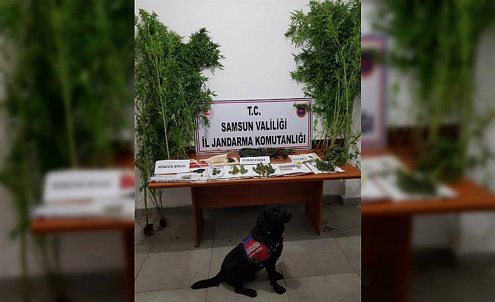 Samsun'da uyuşturucu operasyonlarında 13 şüpheli yakalandı