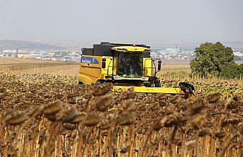 Tekirdağ'da yerli ayçiçeği tohumu geliştirilmesi projesi kapsamında yetiştirilen ürünler hasat edildi