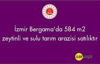 İzmir Bergama'da 584 m² zeytinli ve sulu tarım arazisi mahkemeden satılıktır