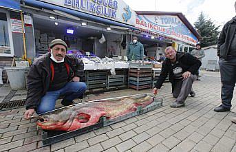 Samsun'da baraj gölünde 105 kilogramlık yayın balığı yakalandı
