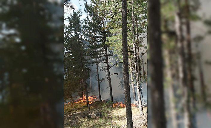 Kastamonu'da çıkan orman yangını söndürüldü
