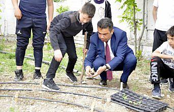 Safranbolu'da öğrenciler ata tohumlarını hobi bahçesinde toprakla buluşturdu