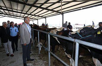 Suluova Belediye Başkanı Üçok, hayvan pazarını ziyaret etti