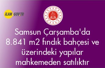 Samsun Çarşamba'da 8.841 m² fındık bahçesi ve üzerindeki yapılar mahkemeden satılıktır