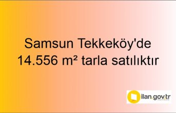 Samsun Tekkeköy'de 14.556 m² tarla mahkemeden satılıktır