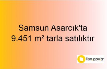 Samsun Asarcık'ta 9.451 m² tarla mahkemeden satılıktır