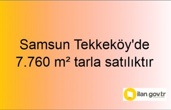 Samsun Tekkeköy'de 7.760 m² tarla mahkemeden satılıktır