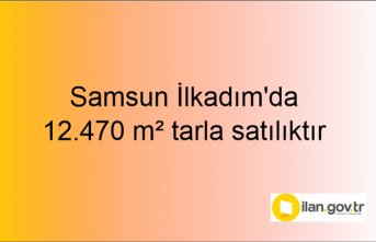 Samsun İlkadım'da 12.470 m² tarla mahkemeden satılıktır