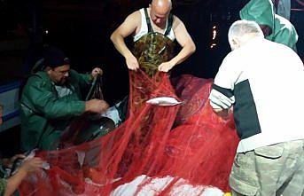 Sinop'ta kıyı balıkçıları kasalar dolusu palamut avladı