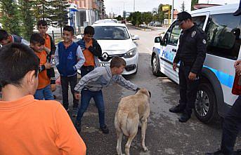 Tokat'ta sahipsiz hayvanların yemliklerine mama bırakıldı