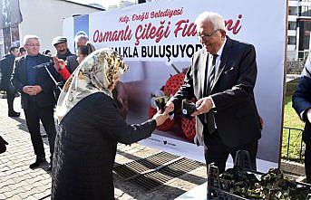 Zonguldak'ta 3 bin Osmanlı çileği fidesi dağıtıldı