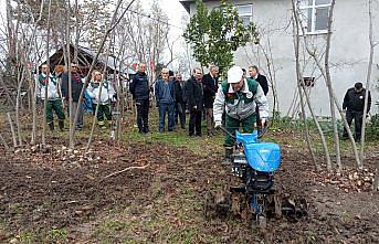 Samsun'da şehit yakını ile gazilerin fındık bahçelerinin bakımı ücretsiz yapılacak