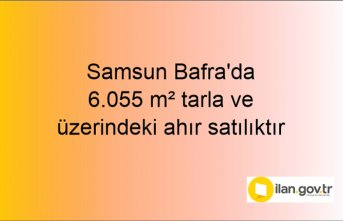 Samsun Bafra'da 6.055 m² tarla ve üzerindeki ahır icradan satılıktır