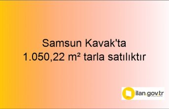 Samsun Kavak'ta 1.050,22 m² tarla icradan satılıktır