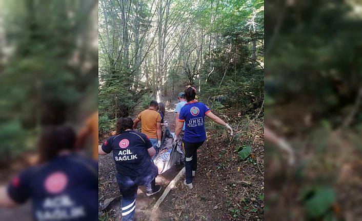 Bolu'da ormanda rahatsızlanan kişi ambulansa sedyeyle 1 kilometre taşındı