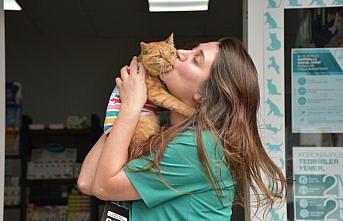 Trabzonlu veteriner hekim tedavi ederek hayata bağladığı kediyi sahiplendi