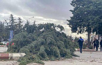 Amasya'da etkili olan şiddetli rüzgar yaşamı olumsuz etkiledi