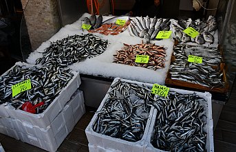 Akçakoca'da balık fiyatları düştü